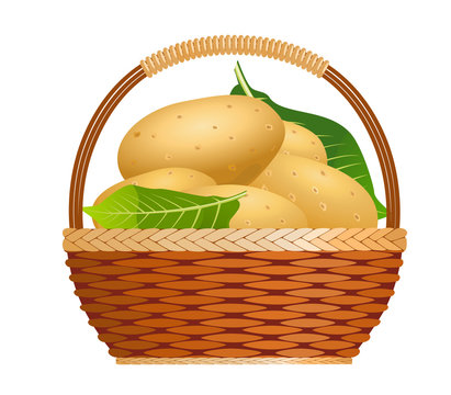 potatoes in woven basket with green leaves clip art preview