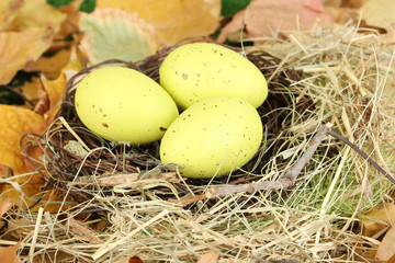 Easter eggs hidden in natural straw nest