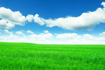 Spring green meadow and blue sky with clouds.
