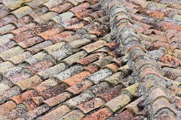 Dachziegel - roofing tile 32
