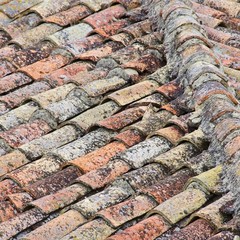Dachziegel - roofing tile 33