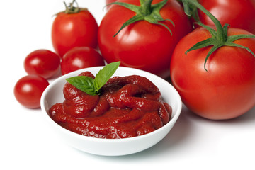Tomatoes and Tomato Puree