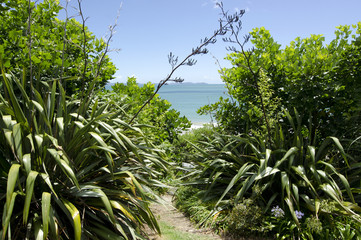 Landscape of Northland New Zealand.