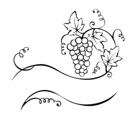 Title - the vine © imagination13