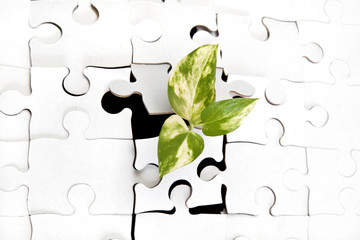 Green sprout from the earth makes its way through the puzzle.