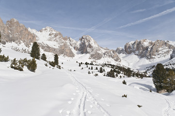 Fototapeta na wymiar Narciarstwo alpejskie szlaki na śniegu