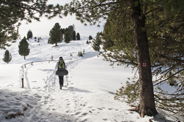 Girls is hiking through pines, in Winter