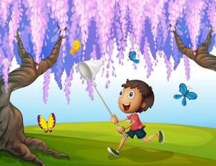 Un garçon attrapant des papillons au parc