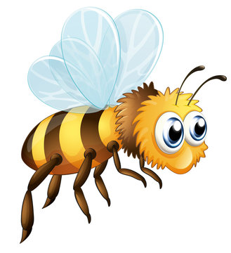A big bee