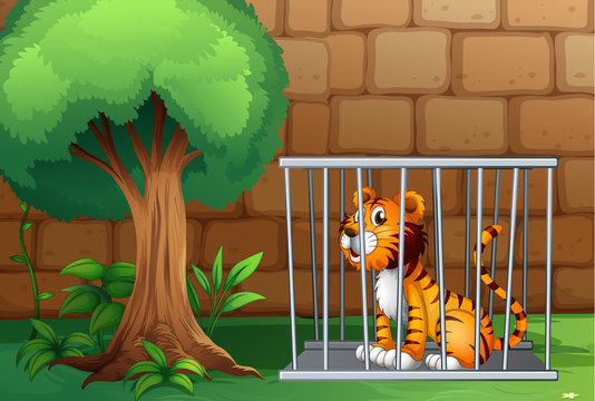 A cage with a tiger