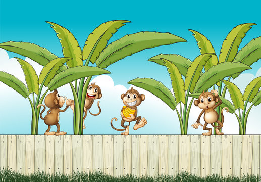 A group of monkeys at the fence