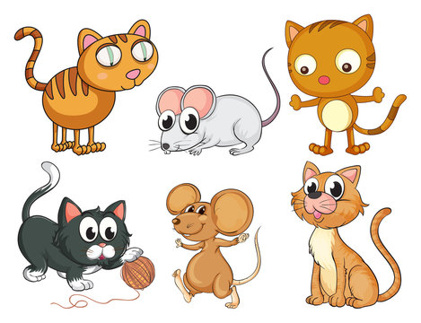Cats and mice