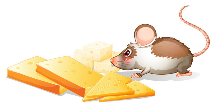 Slices of cheese with a mouse