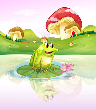 A frog above a waterlily