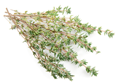 Bunch of thyme isolated on white background