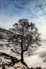 Winter white Snowy scenes around Snowdonia 
