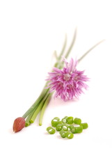 Fototapeta premium Schnittlauch mit Blüte auf weißem Hintergrund