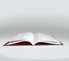 Livre ouvert sur fond blanc