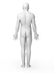 3d rendered illustration - white male