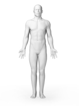 3d rendered illustration - white male
