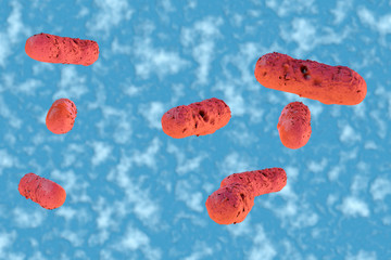 Salmonellen - 3D Render