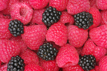 raspberries background