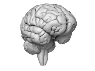 3d rendered illustration - white brian