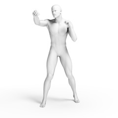 3d rendered illustration - white fighter