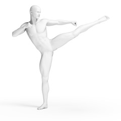 3d rendered illustration - white fighter