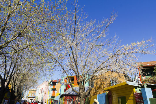 Colorfull Street In Caminito.