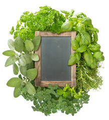 blank blackboard with variety fresh herbs