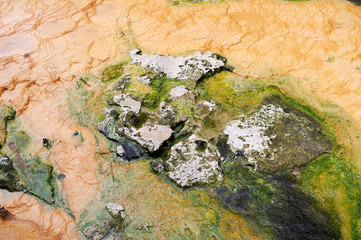 Rocks with salt sediments in the water