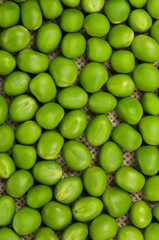 Green peas