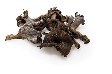 Trompettes de la mort_Craterellus cornucopioides.