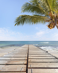 plage, ponton, cocotier, mer, île Maurice