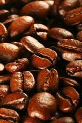 Coffee beans