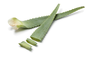 Obraz premium Pieces of Aloe leaf