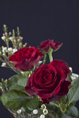 Rote Rosen