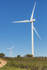 Fototapeta premium Wind Turbines