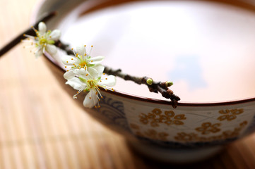 tea and blossom plum