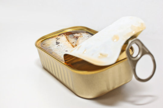 Fischdose