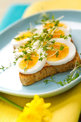 Gekochte Eierscheiben auf Toast mit Kresse