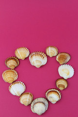 Heart made of shells on pink background