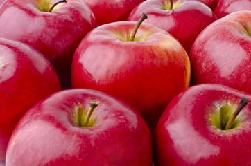 A bunch of appetizing red apples