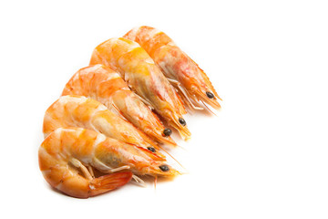 Langostinos gordos
