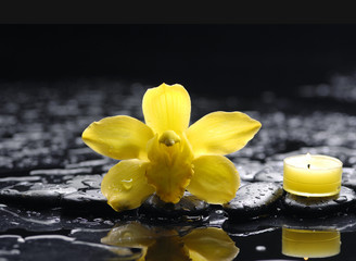 Yellow orchid and candle on therapy stones