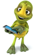 Fun turtle