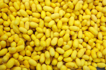 Yellow cocoons surface
