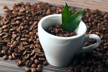 coffee cup with fresh leaf