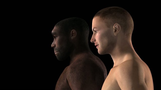 Homo Erectus Animation